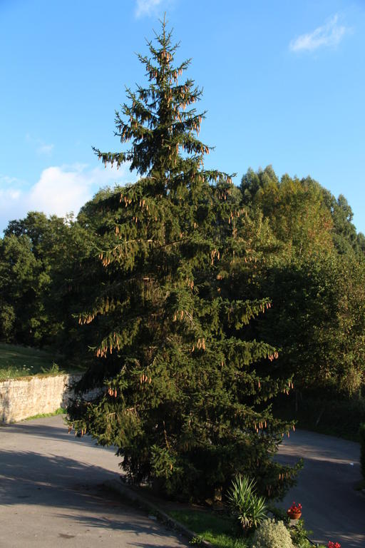 Posada Calera Valle De Villaverde 외부 사진